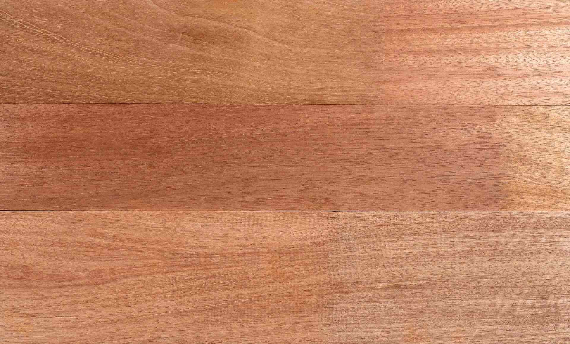 dark-red-meranti-img